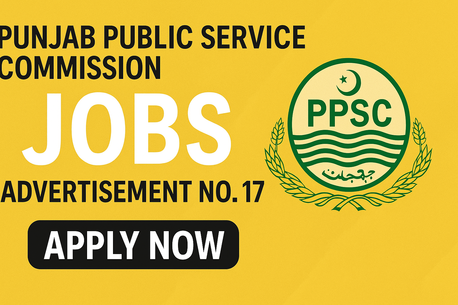 Punjab Public Service Commission (PPSC) Jobs Advertisement No. 17